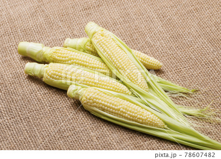 ヤングコーン スイートコーン とうもろこし 夏野菜の写真素材