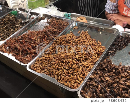 昆虫食の屋台 昆虫食の屋台 78608432