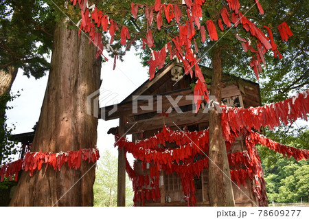 卯子酉神社 78609277