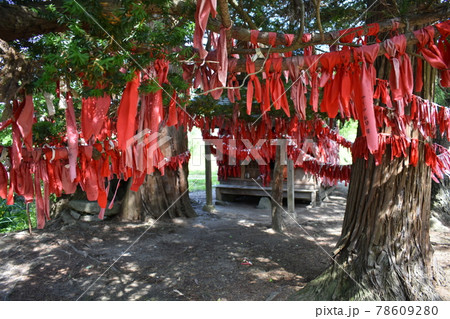 卯子酉神社 78609280