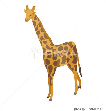 Zoo giraffe icon, isometric style 78609413