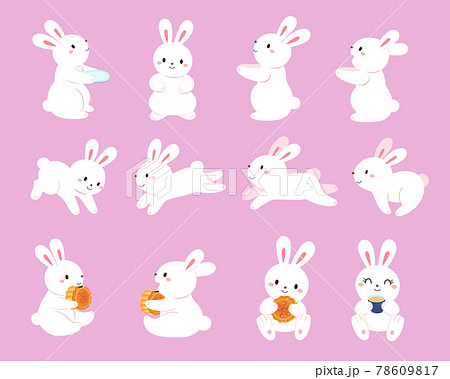 バニー うさぎ 子うさぎ 78609817
