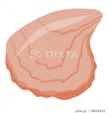 Mussels seafood icon, isometric style Mussels seafood icon, isometric style 78609832