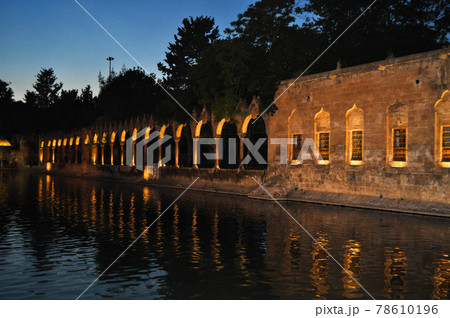 Holy fish lake Sanliurfa Turkey the night's, Urfa Balikli Gol, May 02 2015 78610196