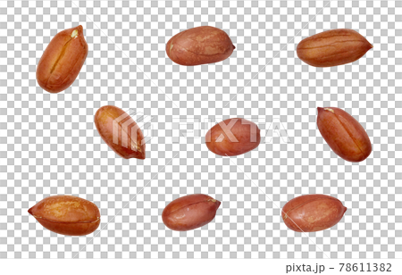 落花生 ピーナッツ イラスト リアル 粒 中身 皮のイラスト素材