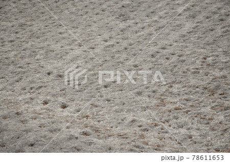 Background image of chalky limestone soil with patterns texture. Difficulties in soil cultivation. Agriculture Background image of chalky limestone soil with patterns texture. Difficulties in soil cultivation. Agriculture 78611653