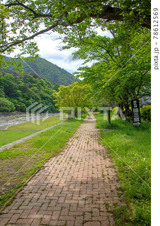 箒川沿い 塩原渓谷歩道 遊歩道付近の景色 箒川沿い 塩原渓谷歩道 遊歩道付近の景色 78612569