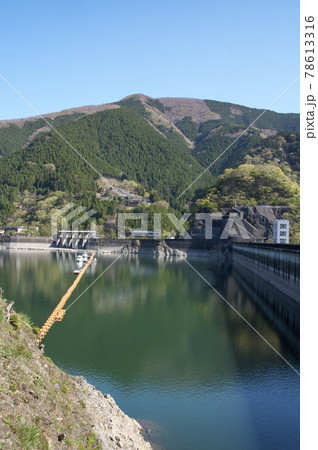 新緑の奥多摩湖 湖面と南岸からの小河内ダム 新緑の奥多摩湖 湖面と南岸からの小河内ダム 78613316
