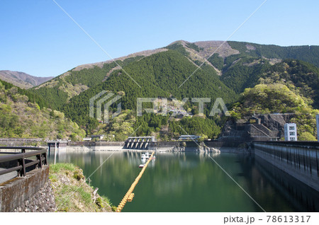 新緑の奥多摩湖 南岸からの小河内ダム 新緑の奥多摩湖 南岸からの小河内ダム 78613317