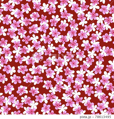 sakuraページ 81TtNs9RrHL._UF350,350_QL50_.jpg