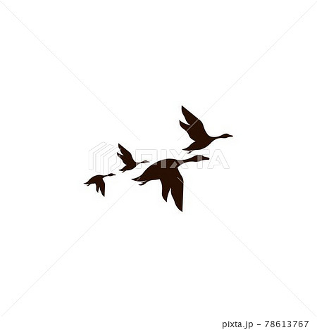 Duck icon logo design concept template illustration Duck icon logo design concept template illustration 78613767