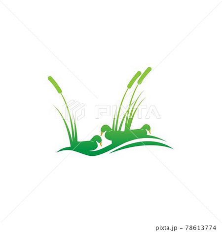 Duck icon logo design concept template illustration Duck icon logo design concept template illustration 78613774