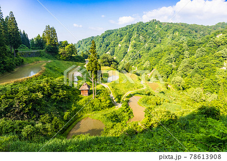 初夏の留守原の棚田 初夏の留守原の棚田 78613908