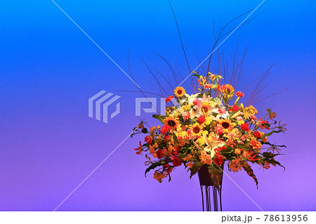ステージに飾られた花 ステージに飾られた花 78613956
