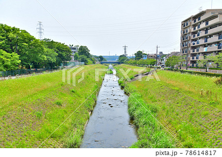 並木橋/大栗川より上流方面を望む(東京都多摩市)【2021.6】 並木橋/大栗川より上流方面を望む(東京都多摩市)【2021.6】 78614817