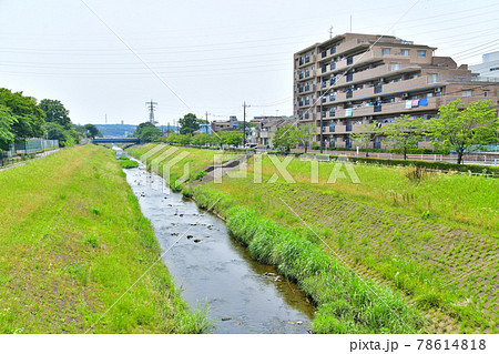 並木橋/大栗川より上流方面を望む(東京都多摩市)【2021.6】 並木橋/大栗川より上流方面を望む(東京都多摩市)【2021.6】 78614818