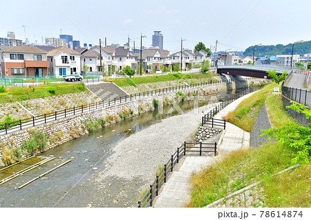 宝蔵橋/大栗川より下流(明神橋)方面を望む(東京都多摩市)【2021.6】 宝蔵橋/大栗川より下流(明神橋)方面を望む(東京都多摩市)【2021.6】 78614874
