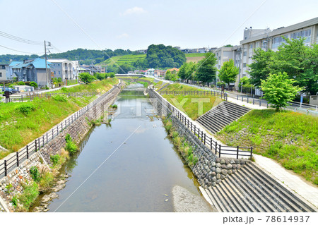 明神橋/大栗川より下流方面を望む(東京都多摩市)【2021.6】 明神橋/大栗川より下流方面を望む(東京都多摩市)【2021.6】 78614937