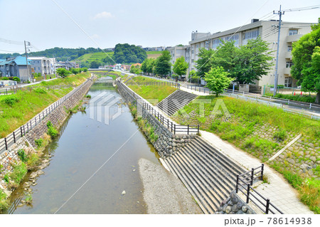 明神橋/大栗川より下流方面を望む(東京都多摩市)【2021.6】 明神橋/大栗川より下流方面を望む(東京都多摩市)【2021.6】 78614938