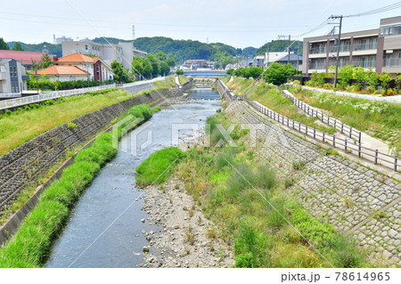 東寺方橋/大栗川より上流方面を望む(東京都多摩市)【2021.6】 東寺方橋/大栗川より上流方面を望む(東京都多摩市)【2021.6】 78614965