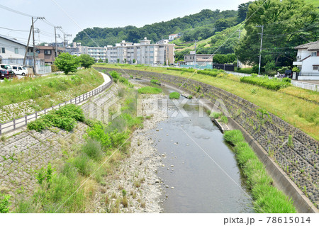 東寺方橋/大栗川より下流方面を望む(東京都多摩市)【2021.6】 東寺方橋/大栗川より下流方面を望む(東京都多摩市)【2021.6】 78615014