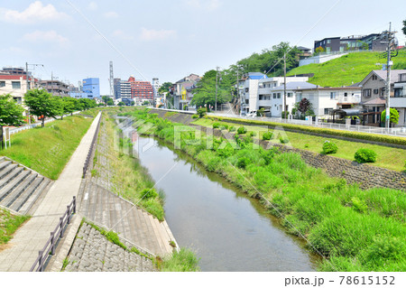 霞ヶ関橋/大栗川より下流方面を望む(東京都多摩市)【2021.6】 霞ヶ関橋/大栗川より下流方面を望む(東京都多摩市)【2021.6】 78615152