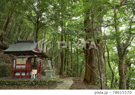 継桜王子　【和歌山県田辺市中辺路町】 78615570