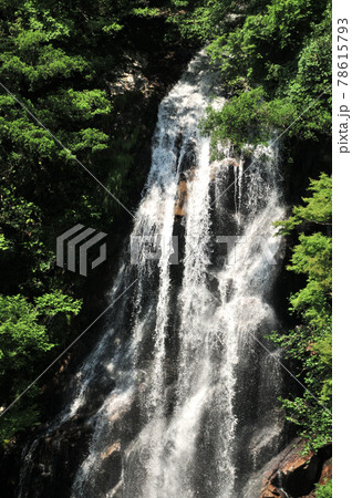 楊枝川支流 布引谷の荒滝 楊枝川支流 布引谷の荒滝 78615793