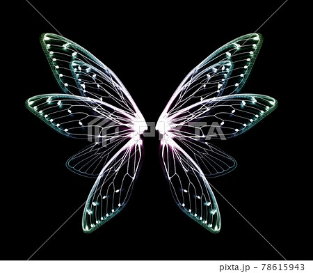 wings of Insect cicada on black bacground 78615943