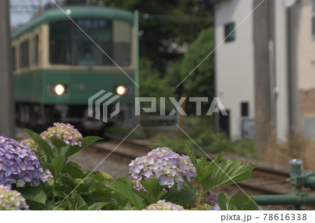 江ノ電 沿線 柳小路~石上 江ノ電 沿線 柳小路~石上 78616338