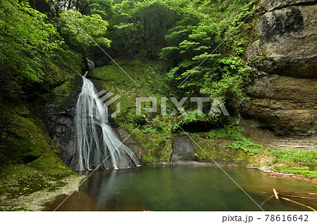 請川のお滝さん　【和歌山県田辺市本宮町】 78616642
