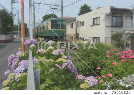 江ノ電 沿線 柳小路~石上 江ノ電 沿線 柳小路~石上 78616829