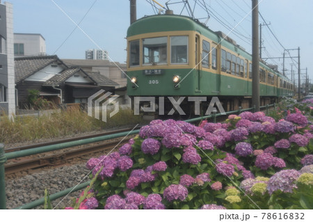 江ノ電　沿線　柳小路～石上　 78616832