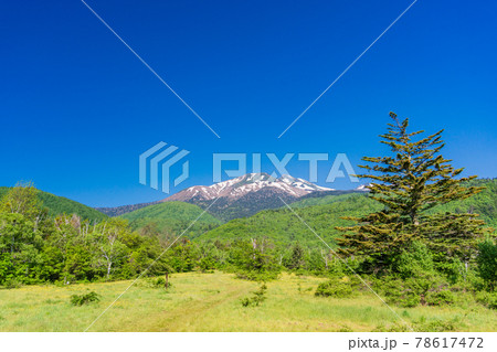 （長野県）乗鞍高原・一の瀬瀬園地　新緑の散策路 78617472