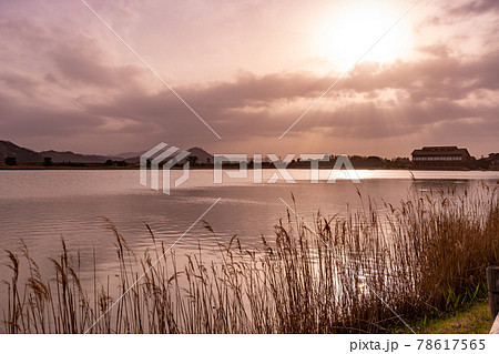 鳥取県米子市　春の米子水鳥公園の夕景 78617565