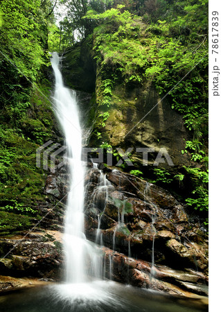 土伝滝　【三重県熊野市紀和町】 78617839