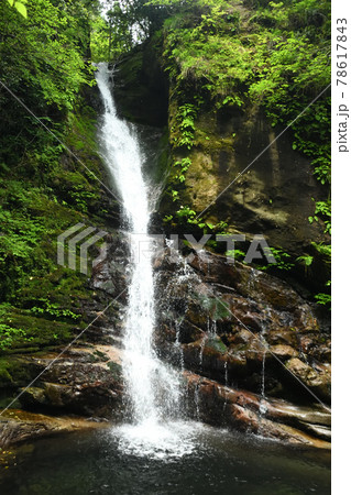 土伝滝 【三重県熊野市紀和町】 土伝滝 【三重県熊野市紀和町】 78617843