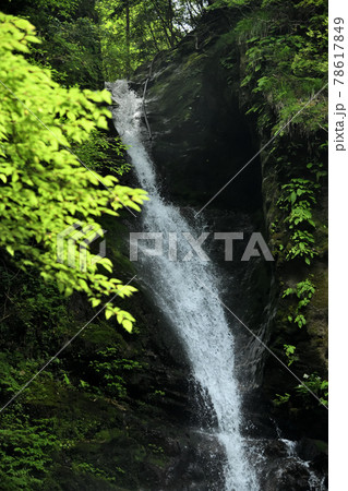土伝滝　【三重県熊野市紀和町】 78617849