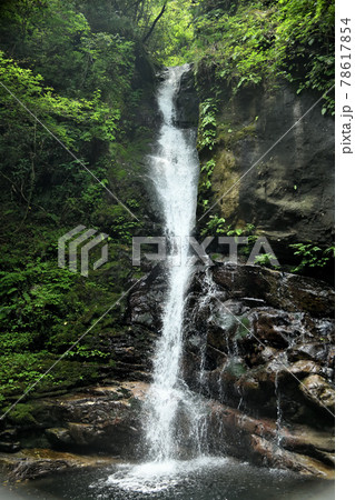 土伝滝 【三重県熊野市紀和町】 土伝滝 【三重県熊野市紀和町】 78617854