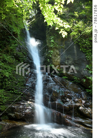 土伝滝 【三重県熊野市紀和町】 土伝滝 【三重県熊野市紀和町】 78617856