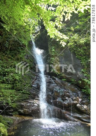 土伝滝　【三重県熊野市紀和町】 78617858