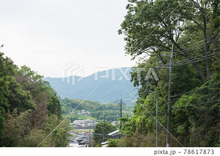 国道370号線 78617873