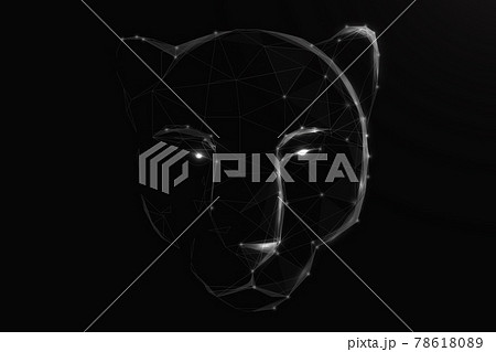 A tiger head or black panther. Low poly, lines, triangles, and particle style design. Vector illustration A tiger head or black panther. Low poly, lines, triangles, and particle style design. Vector illustration 78618089