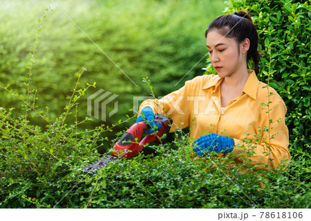 woman using cordless electric hedge cutting and trimming plant in garden at home woman using cordless electric hedge cutting and trimming plant in garden at home 78618106