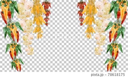 Hand-painted watercolor-style illustrations of hanging corn, garlic and chili peppers Hand-painted watercolor-style illustrations of hanging corn, garlic and chili peppers 78618175