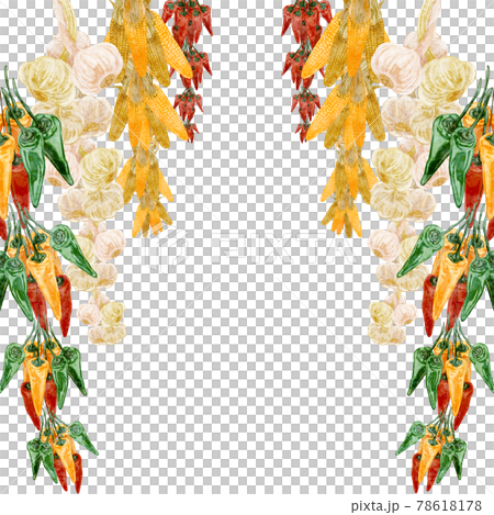 Hand-painted watercolor-style illustrations of hanging corn, garlic and chili peppers Hand-painted watercolor-style illustrations of hanging corn, garlic and chili peppers 78618178