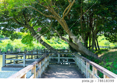 三重県　亀山市　亀山城　亀山菖蒲園付近の風景 78618399