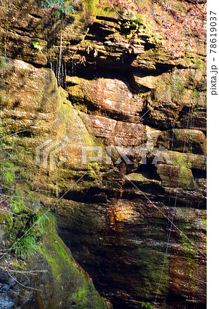 「かずら橋」が架かるる清らかな渓流 78619037