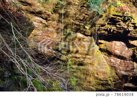 「かずら橋」が架かるる清らかな渓流 78619038