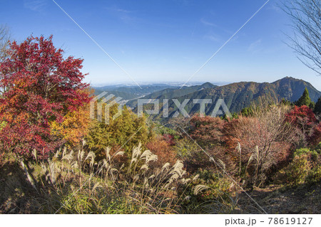 御岳山の中腹「御岳平」から眺めた景色【東京都・青梅市】 78619127